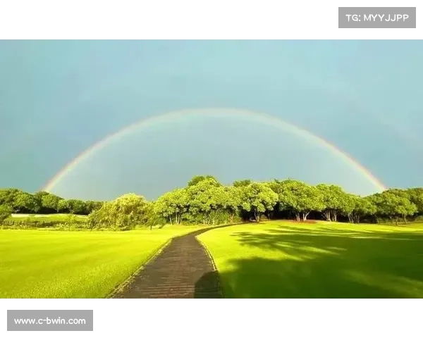 暴雨过后彩虹桥的光辉:广东队暂停背后的逆袭哲学与战略布局 暴雨过后彩虹桥的光辉:广东队暂停背后的逆袭哲学与战略布局